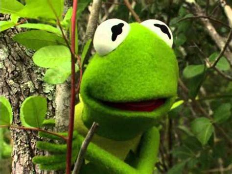 Kermit's Swamp Years Early Trailer - YouTube