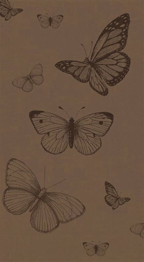 Cute Brown butterfly background in 2022 | Butterfly wallpaper, Cute ...