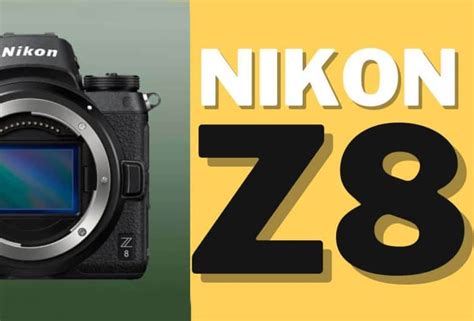 Nikon Z8 Camera | Good For Wildlife Photography? - Cool Wildlife