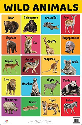 Buy Charts: Wild Animals Charts (Educational Charts for kids) Online at ...