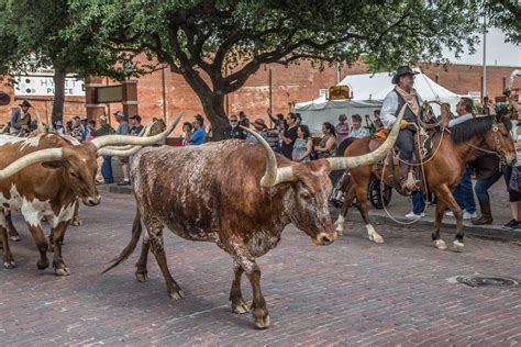 Fort Worth Stockyards