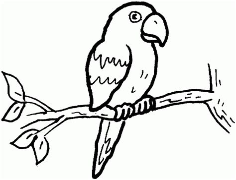 Parrot Outline - Coloring Home