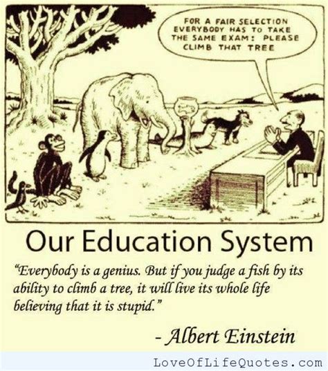 Lifelong Learning Quotes Albert Einstein. QuotesGram