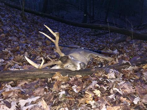 December 2nd rifle buck | The HuntingPA.com Outdoor Community