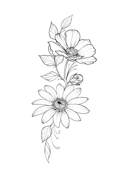 Simple Flower Outline Drawing