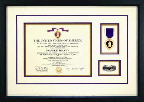 Custom Framed Military Medals and Ribbons - Framed Guidons