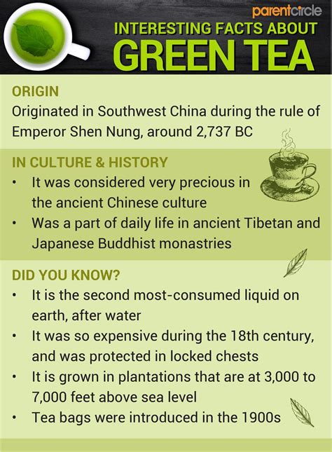 Green Tea Guide, Health Benefits and Side Effects of Green Tea ...