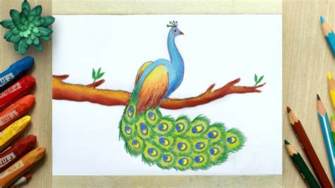 Peacock Drawing Easy | Peacock Drawing with Color | Peacock Bird Drawing