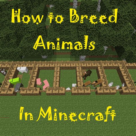 How To Feed Animals In Minecraft Switch