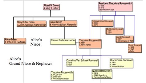 President Theodore Roosevelt Family