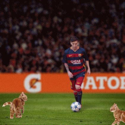 Lionel Messi GIFs - Get the best GIF on GIPHY