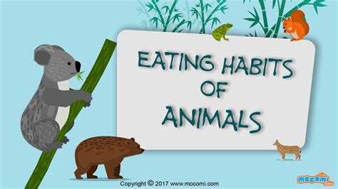 Herbivores- Plant Eating Animals