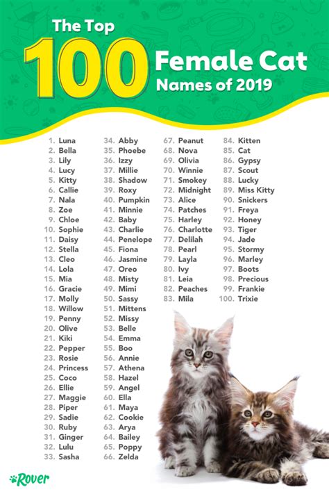 Pin on Cat names