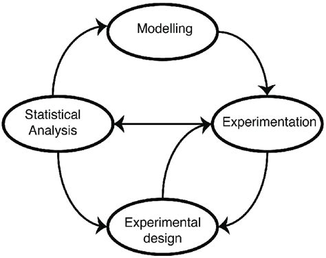 Mathematical modelling in molecular biology. Mathematical models of ...