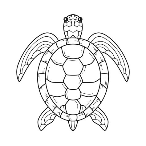 Free Vector | Hand drawn turtle outline illustration