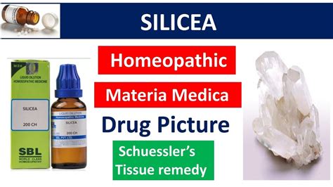 Silicea Drug Picture | Materia Medica | Homeopathy #bhms #silicea # ...