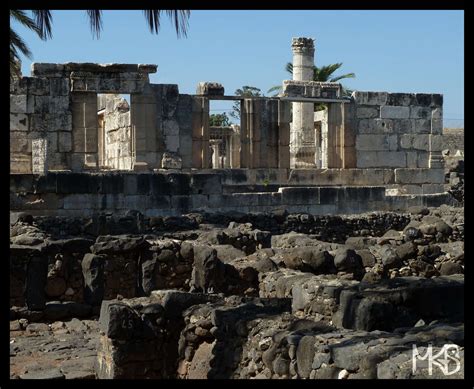 Israel & Palestinian Territories - Capernaum - Traveling Rockhopper