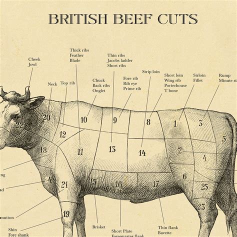 Butcher Beef Cuts Diagram