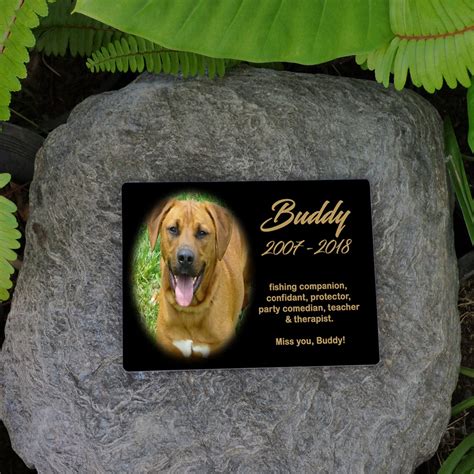 Dog Photo Memorial Plaque - Photo Of Dog