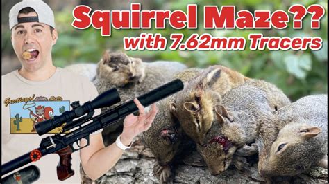 7.62mm Vs Mark Rober Squirrel Maze... which is more effective for pest ...