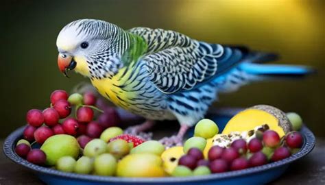 What Do Budgies Eat And What They Don't? A Complete List