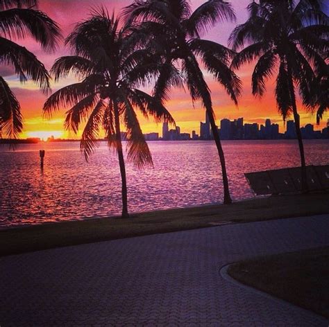 Miami Sunset Pictures, Photos, and Images for Facebook, Tumblr ...