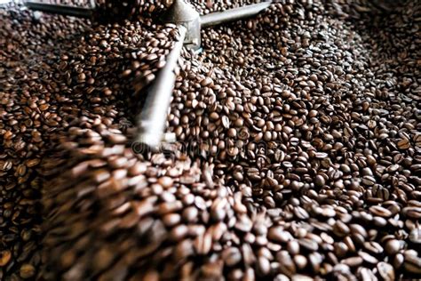 Roasting process of coffee stock photo. Image of agriculture - 250093310