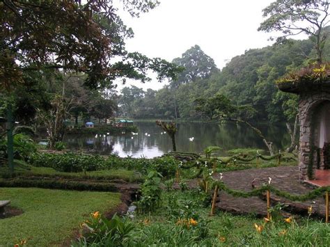 la Selva Negra, un lugar tranquilo y mágico para vivir. Nicaragua ...