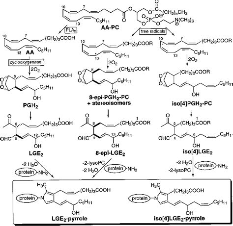 Prostanoic Acids | Semantic Scholar