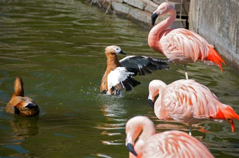 Jim's Photography: Rosamond Gifford Zoo - Syracuse