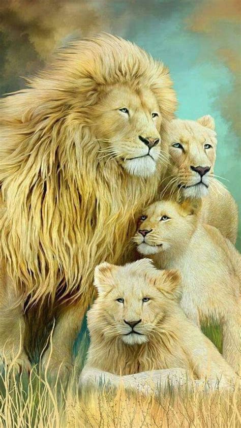 Lion Family Wallpapers - Wallpaper Cave