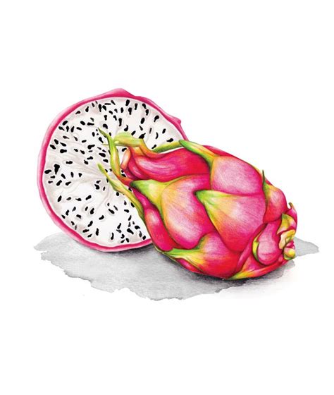 Art Prints & Printed Wall Decor | Society6 | Fruit painting art, Fruit ...