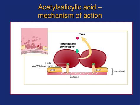 PPT - Antiplatelet and thrombolytic drugs PowerPoint Presentation, free ...