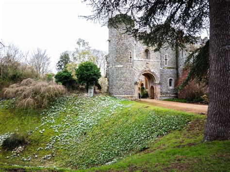 Snowdrops at Benington Lordship Gardens — Marina Walker