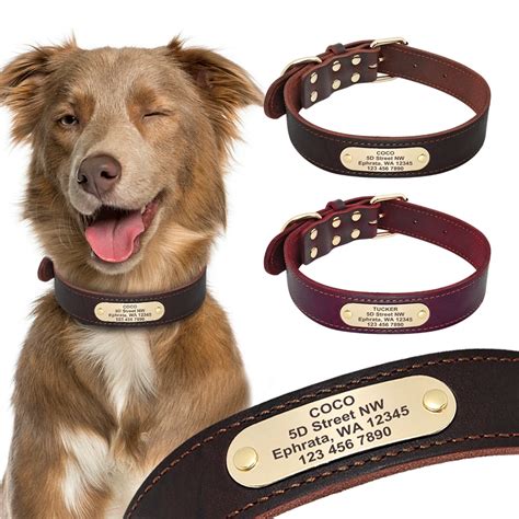 Dog Collar Personalized Genuine Leather Pet Collar Nameplate ID Tags ...