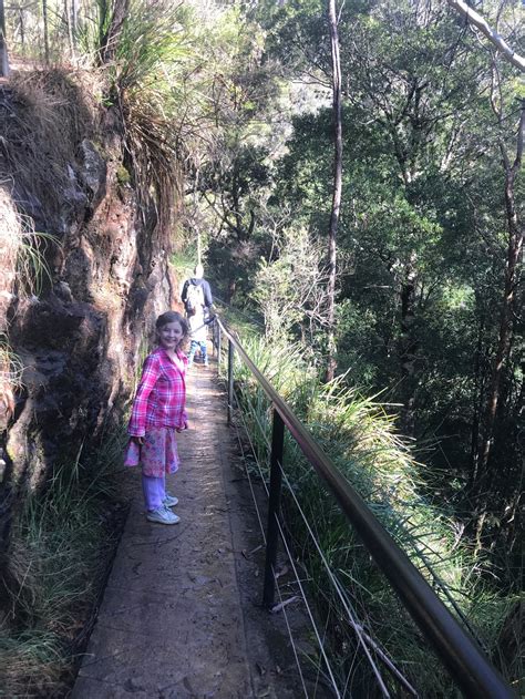 Springbrook National Park with Kids