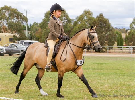 Longford Show Horse Show | Equestrian Tasmania