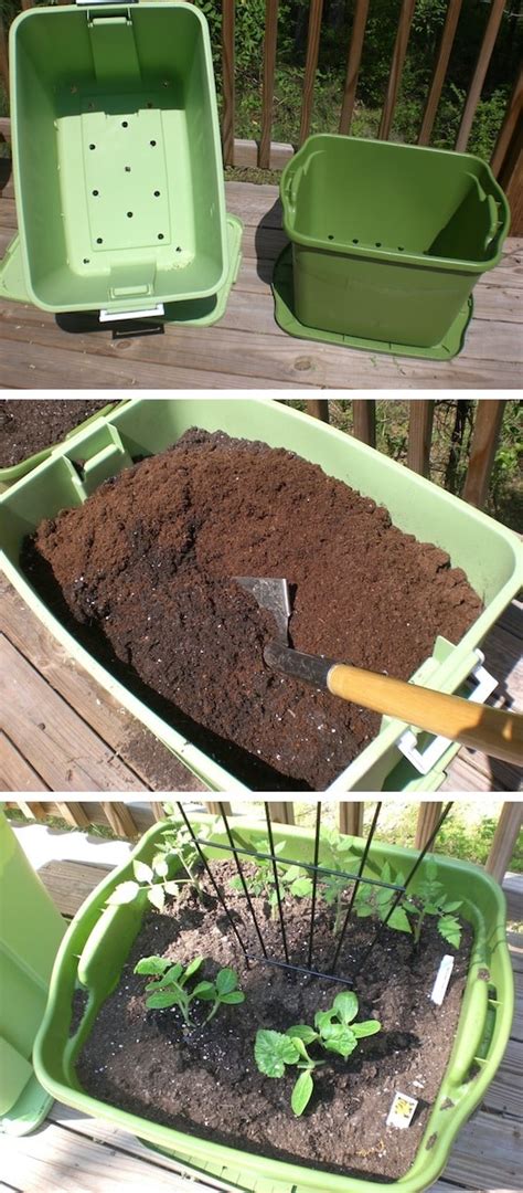 20+ Insanely Clever Gardening Tips and Ideas (flowers & vegetables)