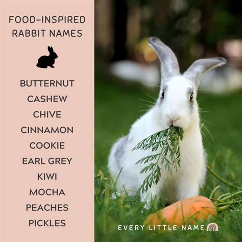 230+ Best Rabbit Names for Your Pet Bunny - Every Little Name