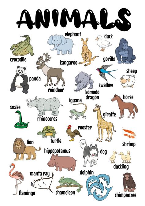 Animal Poster Printable Digital Print Poster 27 Animals School ...