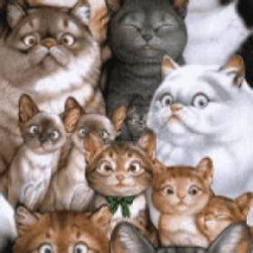 Free animated cat funny Screensavers | mobile9