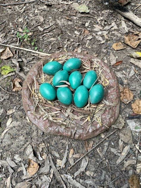 Emu Nest Of Eggs - Sculpture & Statue