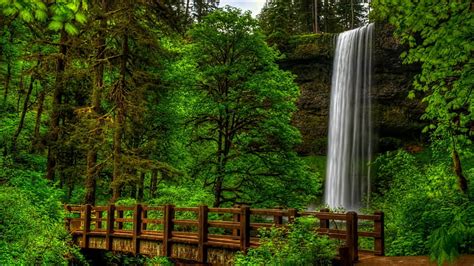 HD wallpaper: Waterfall in green forest, Nature, view, trees, park ...