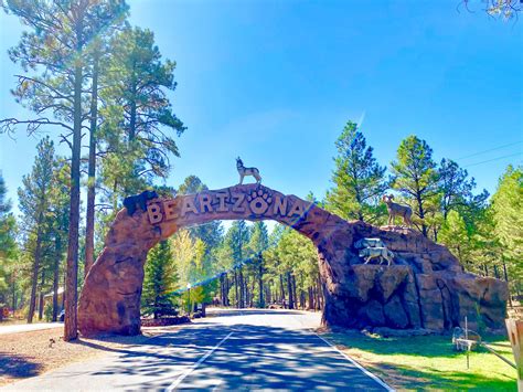 Things to do at Bearizona Wildlife Park