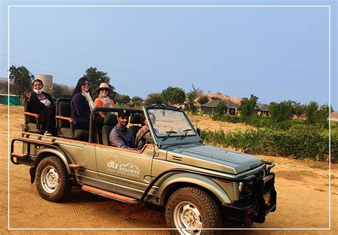 Jawai Leopard Safari : Unlock the Adventures of Jawai