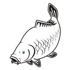 Carp fish | Fish silhouette, Fish drawings, Fish logo