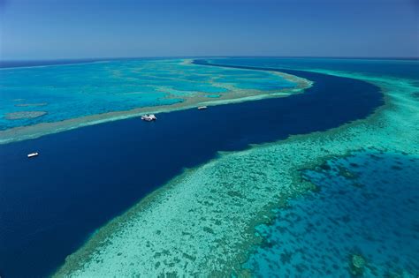 Australia pledges $58 million for Great Barrier Reef | SBS News