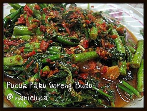 Hanieliza's Cooking: Pucuk Paku Goreng Budu