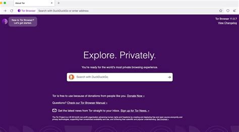 How to Use Tor Browser (And Why You Should) - Paper Writer