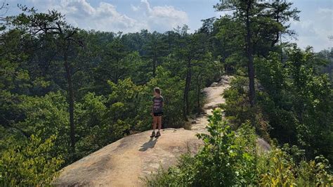 Five Easy Trails in Red River Gorge - Trails That Rock